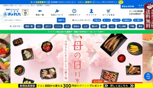 【2026年】北海道ぎょれんを実際に使ってみた！特徴・口コミ・注意点まとめ