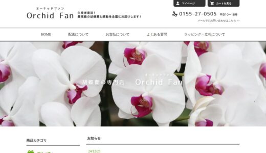 【2026年】オーキッドファンの評判は？口コミからわかるメリット・デメリット