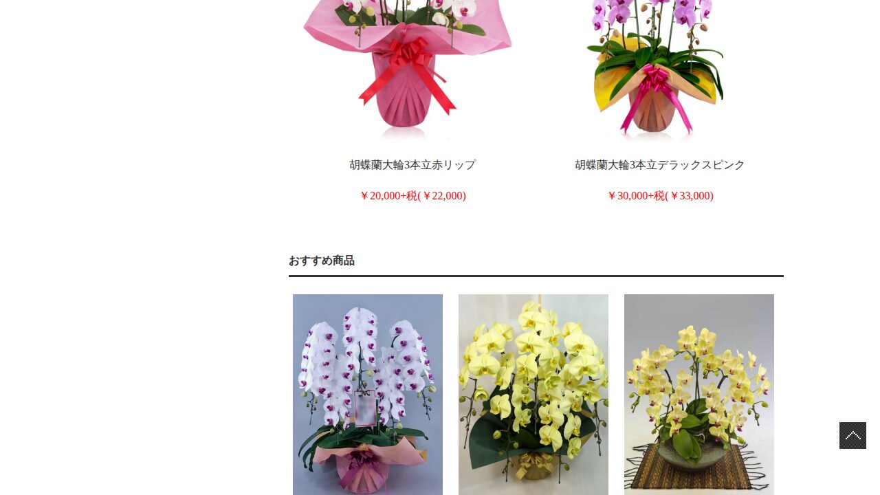 オーキッドファンのサービスイメージ