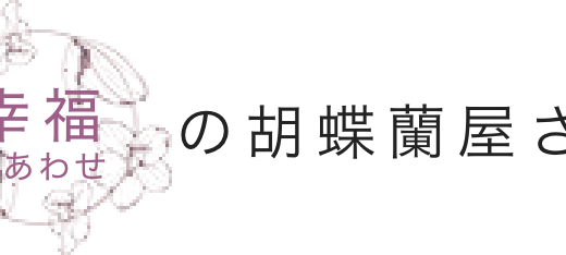 【2026年】幸福の胡蝶蘭屋さんのメリット・デメリットを徹底比較！本当にお得？