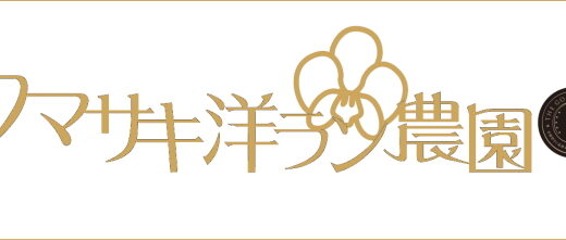 【2026年】クマサキ洋ラン農園の評判は？口コミからわかるメリット・デメリット