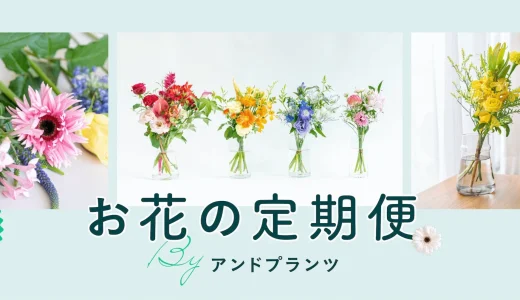 【2026年】AND PLANTS（アンドプランツ）花の定期便の評判は？口コミからわかるメリット・デメリット