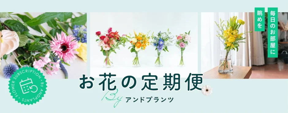 AND PLANTS（アンドプランツ）花の定期便