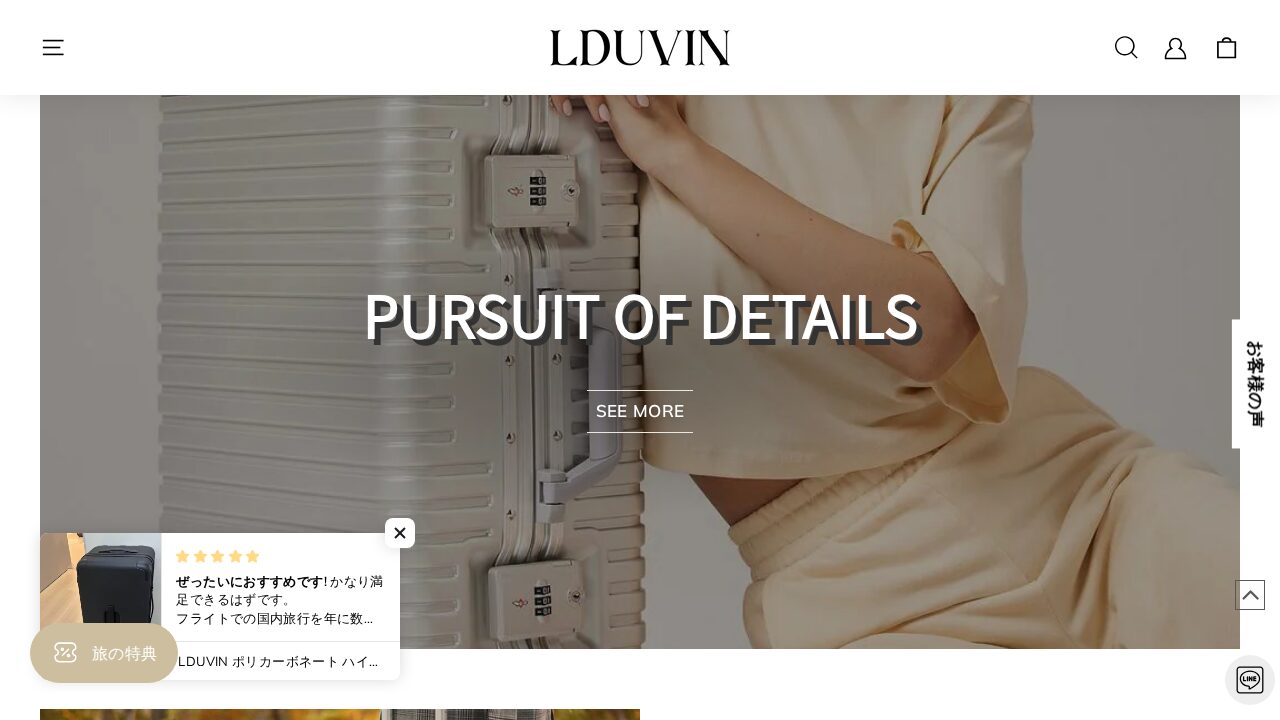 LDUVINの人気スーツケース